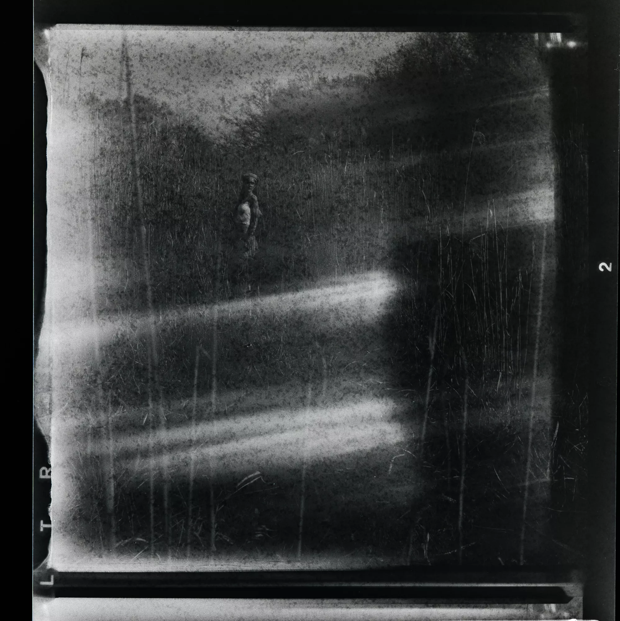 Analoges Schwarz-Weiß-Portrait einer Person im hohen Gras mit Lichtreflexen