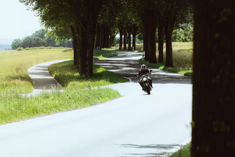 Referenzbild Hobbesshot 9