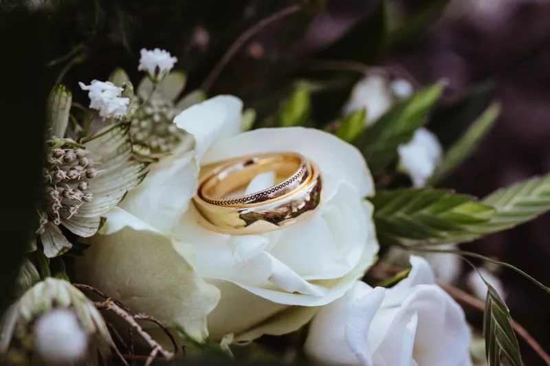 Zwei goldene Eheringe auf einer weißen Rose mit Schleierkraut und grünen Blättern.